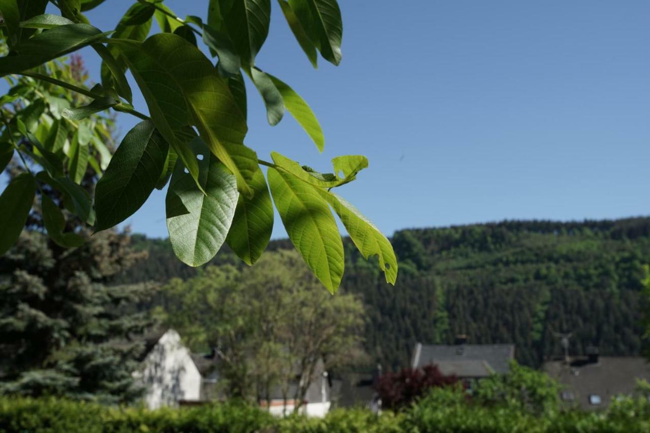 Ferienwohnungen Christina Traben-Trarbach Bagian luar foto
